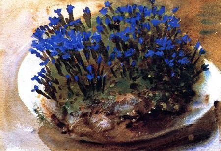 (image for) Handmade oil painting Copy paintings of famous artists John Singer Sargenti's art Blue Gentians 1905 - Click Image to Close